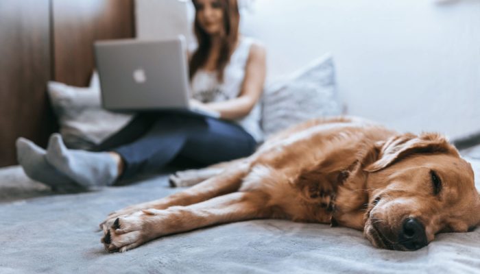 для кого удалённая работа