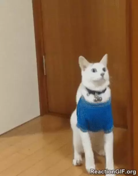проверка почты